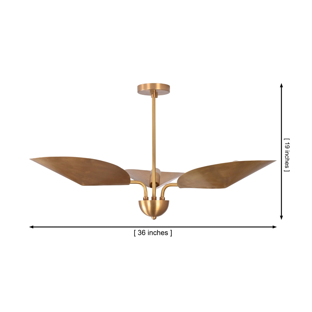 Size guide for Willow Sculptural Leaf Chandelier – 3 Light – 36 Inch – Model 33234