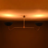 Tokyo Discus  -  Uplifting Mid-century Chandelier - 2 Lights - 32322