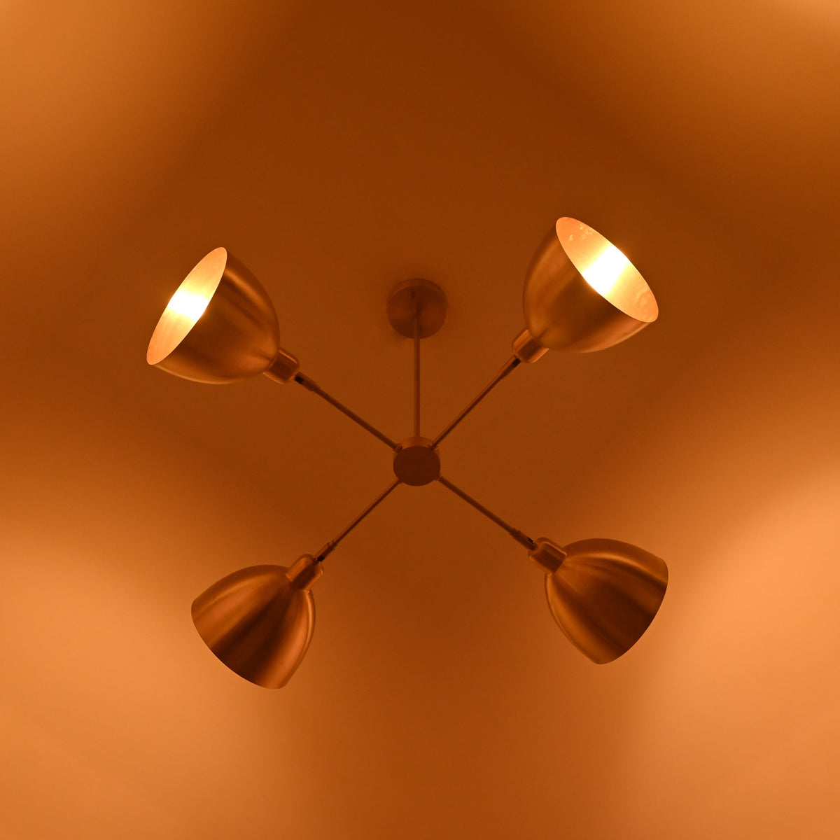Tokyo Discus - Pendant Chandelier - 4 Lights - 32370