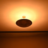 Siena Petite Disc Chandelier Mid Century Modern Ceiling Light - Model 32406