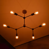 Lisbon Vector - Ceiling Chandelier - 6 Lights - 32214