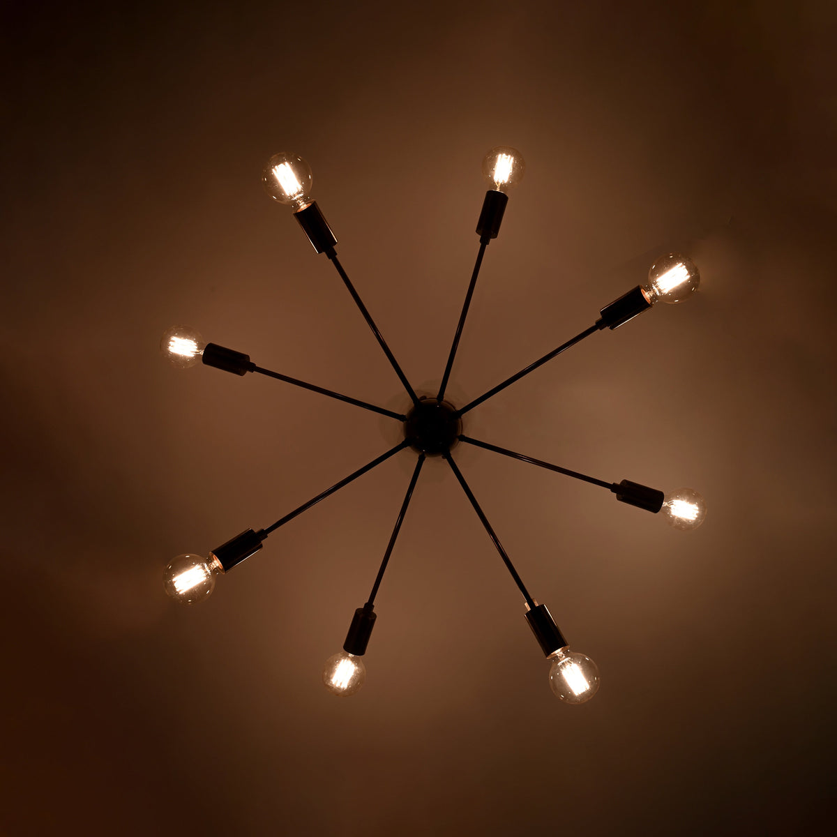 Zurich Nova - Chandelier - 8 Lights - 32167