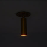 Lit view of Alden adjustable brass ceiling spotlight casting a warm focused downward beam