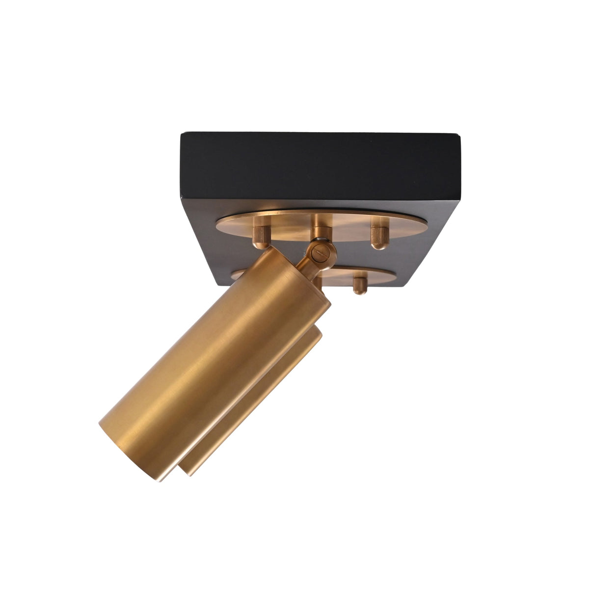 Close-up of Alden adjustable brass cylindrical spotlight head with precision pivot mechanism and matte black ceiling mounting plate.