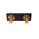 Angled view of Alden double adjustable ceiling spotlight featuring solid brass cylindrical spotlights mounted on a matte black rectangular canopy.