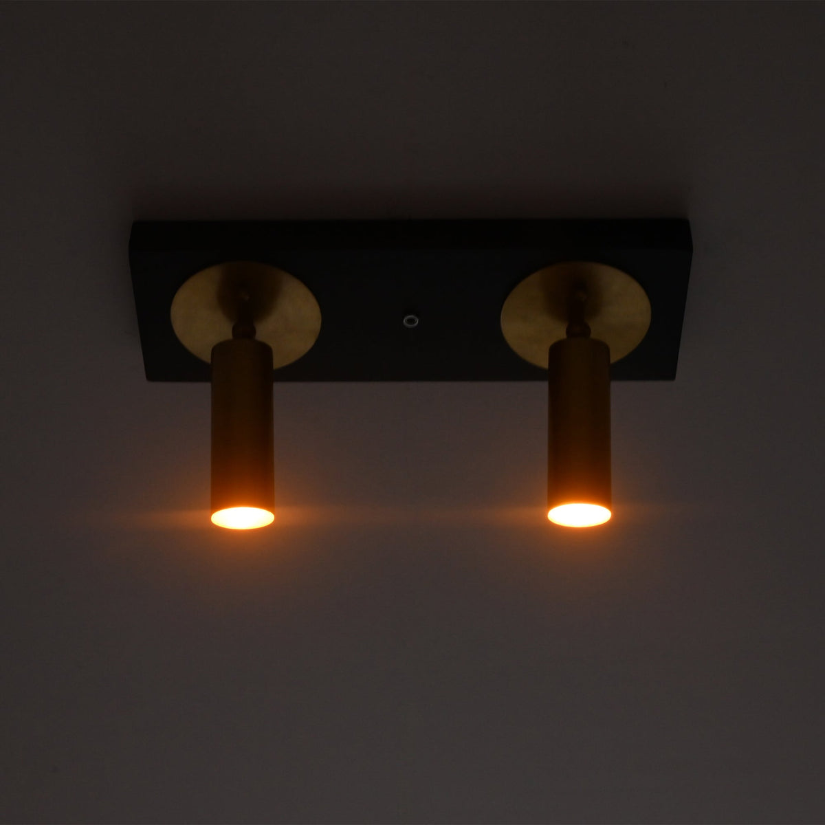 Front view of Alden double adjustable ceiling spotlight with illuminated brass cylindrical spotlights on a black surface-mounted ceiling plate.