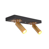 Perspective view of Alden double adjustable ceiling spotlight with illuminated brass cylindrical spotlights directing warm focused beams.