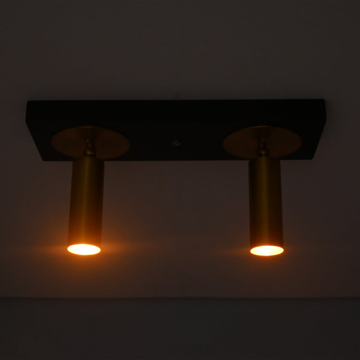 Alden double adjustable ceiling spotlight illuminated with warm focused lighting from dual solid brass cylindrical spotlight heads.
