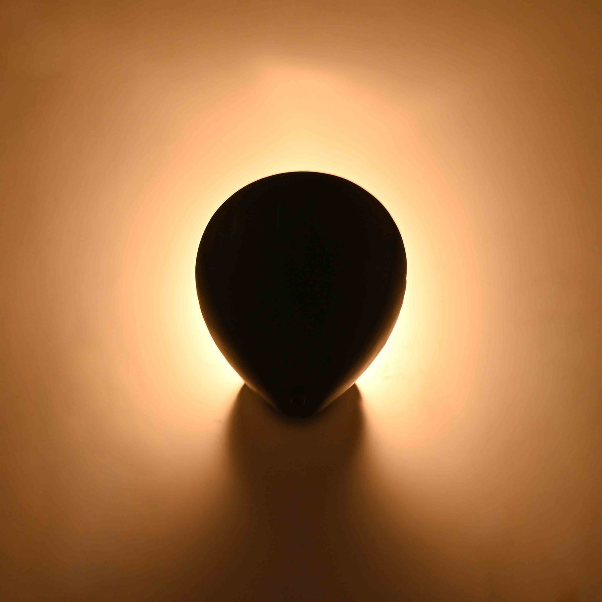 Black solid brass ambient wall light with rounded petal form and warm decorative halo effect