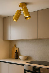 Solid brass 2-light adjustable ceiling spotlight installed in modern kitchen above cabinets providing warm directional lighting.