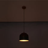 Brass Leaf Studio copper pendant light with multicolor artistic shade and warm glow for luxury interior lighting