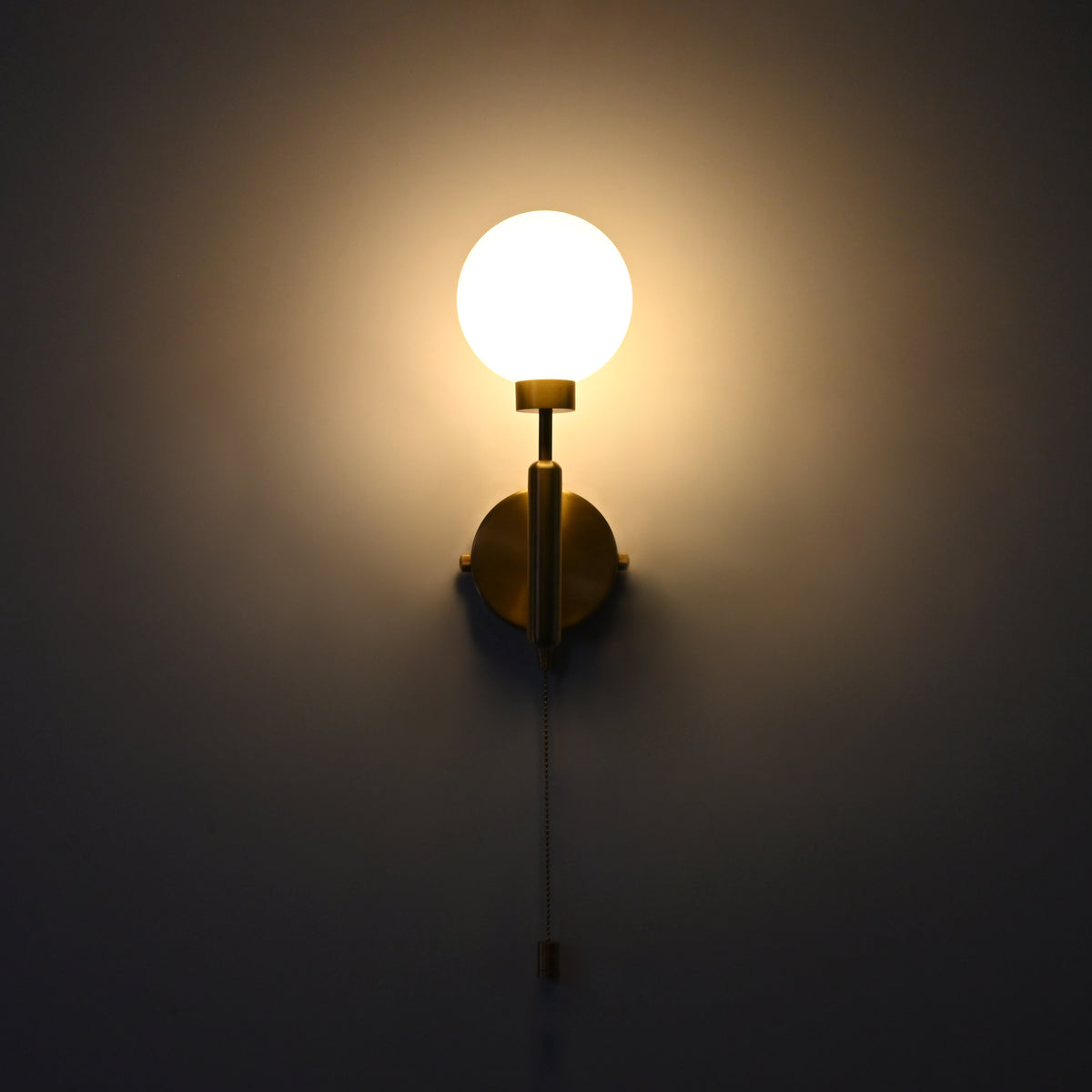 Illuminated raw brass wall sconce with round frosted globe, vertical stem, circular backplate, and pull chain.