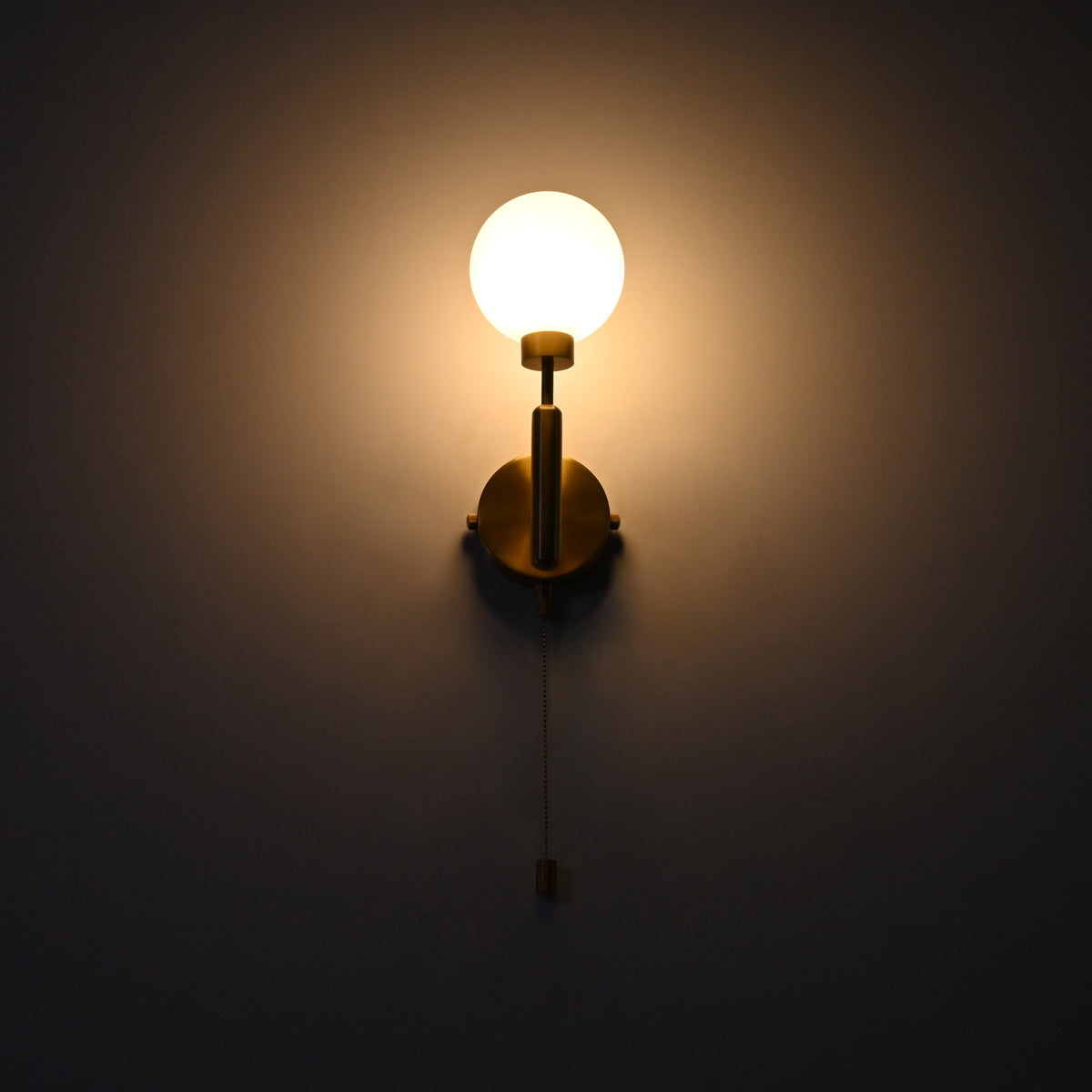 Illuminated raw brass globe wall sconce with round frosted globe, vertical stem, circular backplate and pull chain