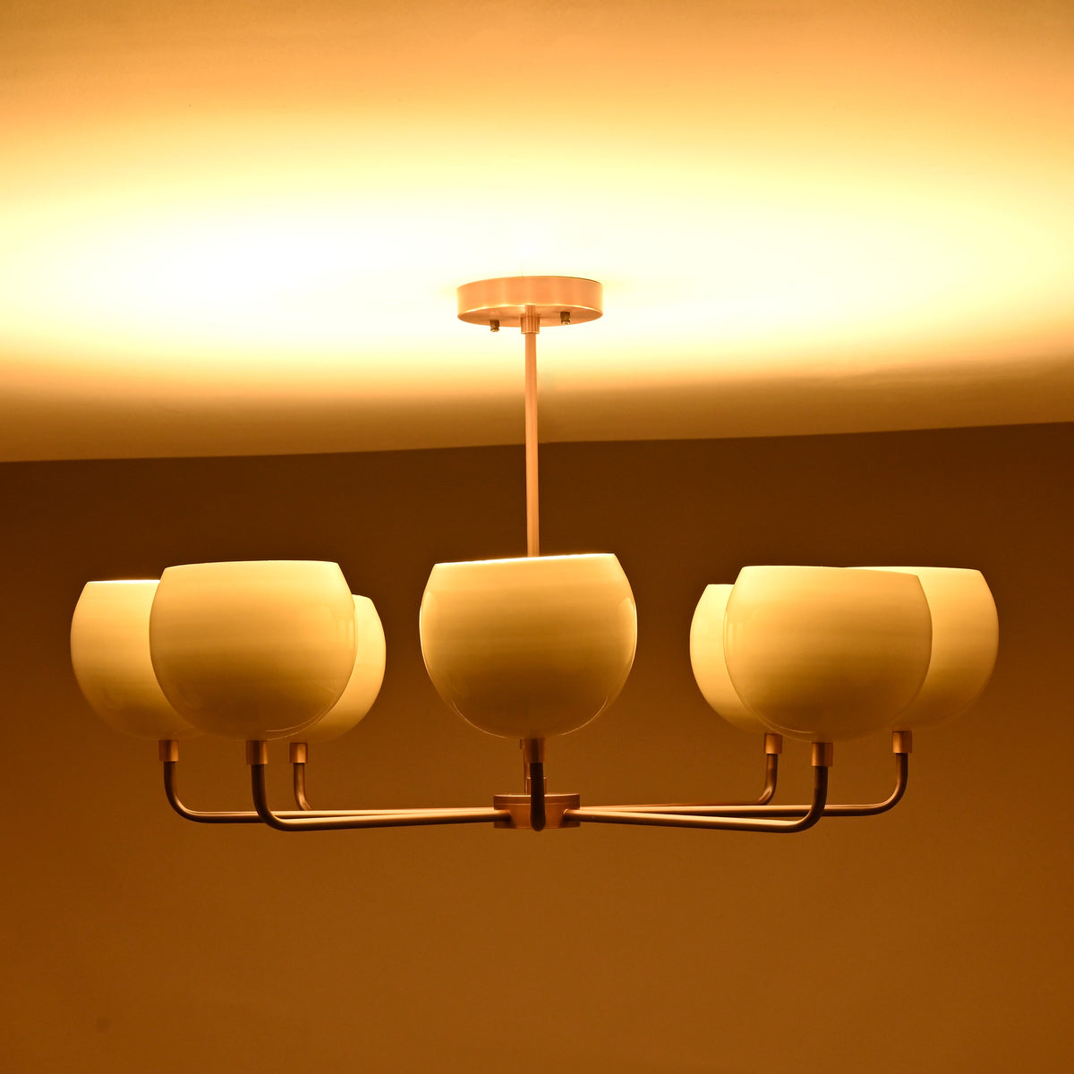 8-light brass chandelier illuminating ceiling with warm glow, featuring round ivory shades and central drop rod.