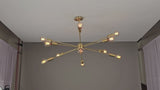 Vienna Nova - Ceiling Chandelier - 8 Lights - 32362