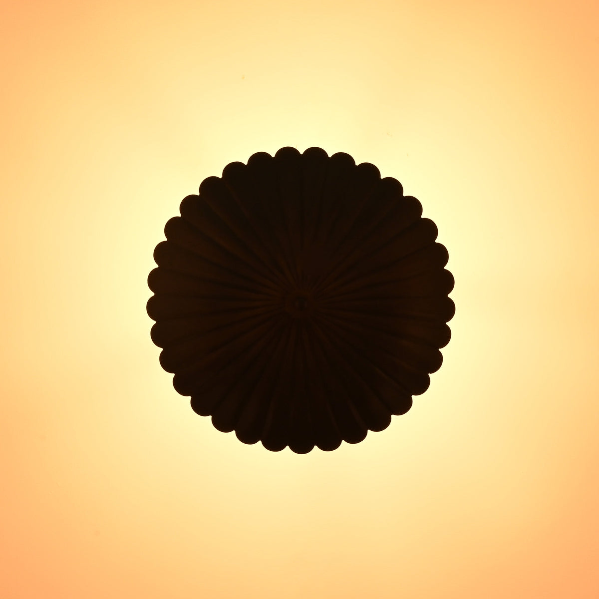 Warm glowing scalloped disc pendant light creating soft ambient ceiling illumination